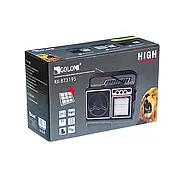 Переносний радіоприймач із сонячною панеллю та Bluetooth Golon RX-BT319S Портативне радіо на природу, фото 9