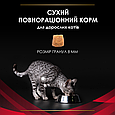 Сухий корм Pro Plan Veterinary Diets DM Diabetes Managment для котів з цукровим діабетом, 1.5 кг, фото 8