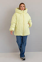 Жіноча стильна зимова куртка Селін-2 р-ри 44-52, фото 5