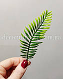 Додаток - папороть (10шт), фото 3