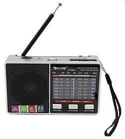 Радіоприймач акумуляторний Golon RX-8866 MP3+USB+MicroSD з LED ліхтариком Grey-Black (7_01292)