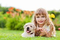 Чи безпечна така трава для дітей і тварин?