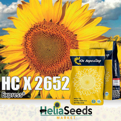 Гібрид НС Х 2652 насіння соняшника