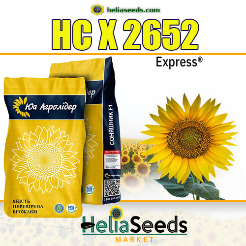 Гібрид НС Х 2652 насіння соняшника