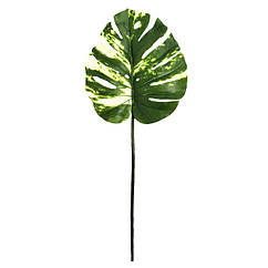 Майстерний лист Engard Monstera Alba 73 см (TW-54), 8587004 — 436