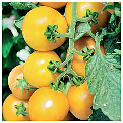 Томат Світ Сан F1 поштучно Spark Seeds 1 шт