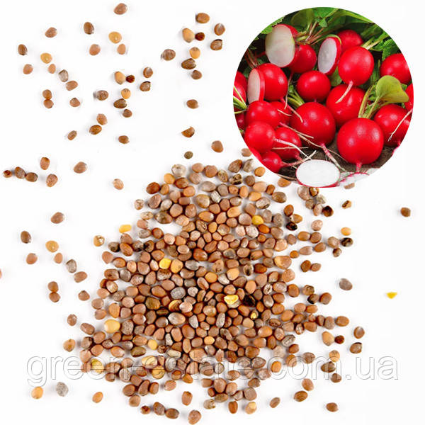 Редис Сакса (ваговий)