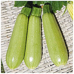 Кабачок Супер Донія F1 поштучно Clause 1 шт