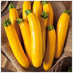 Кабачок Голден Глорі F1 поштучно Syngenta 1 шт