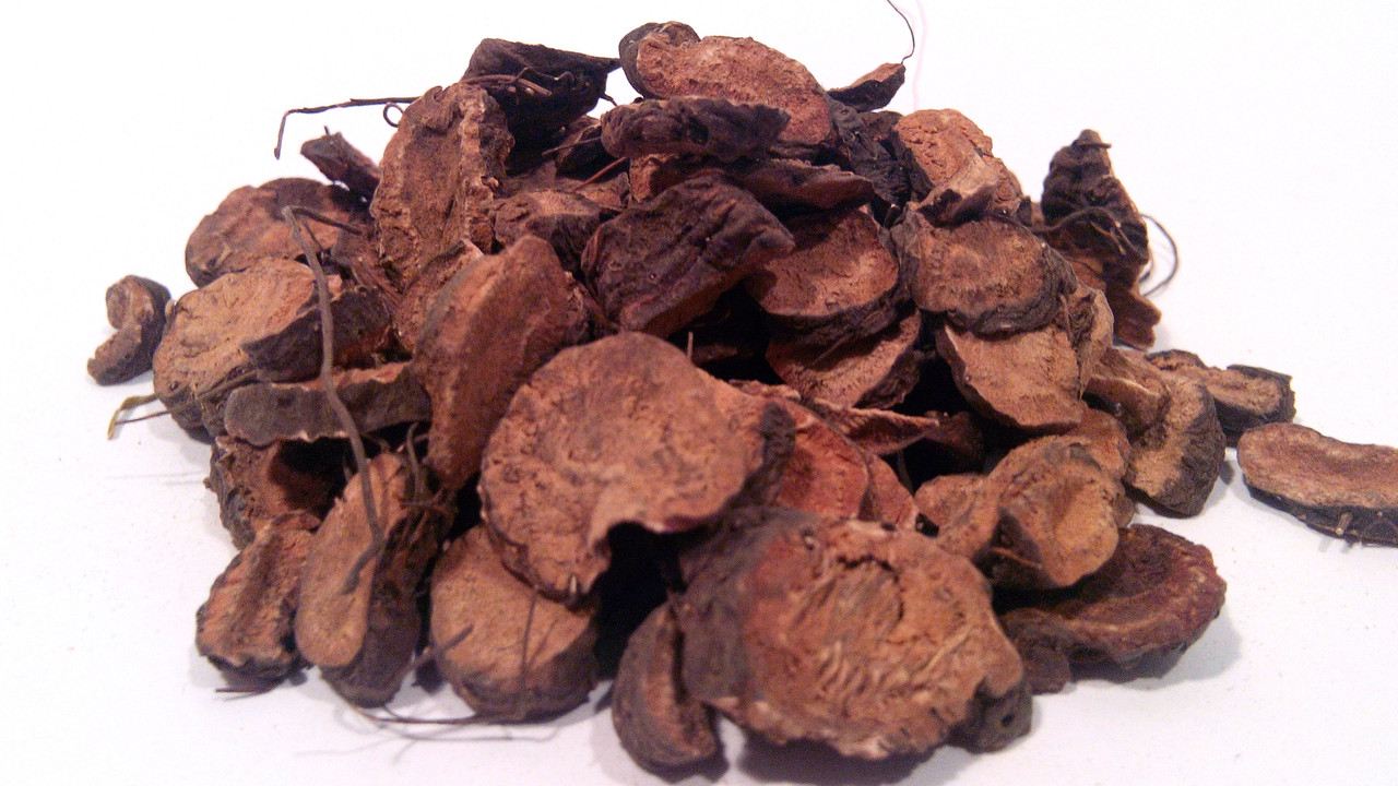 Горец змеиный корень (змеевик большой, раковые шейки, змеиный корень ...