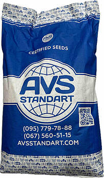 Соняшник під гранстар ДОЛАР. Високоврожайний гібрид ДОЛАР 55ц/га, стійкий до вовчка A-G+. Екстра