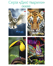 Блокнот А-6 32арк. Скат ЗК-16, фото 5