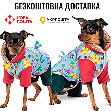 Костюм Pet Fashion Alisa для дівчинки розмір XS