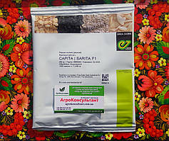 Насіння редиски Саріта F1 (Enza Zaden), 250 г ― ультраранній, високоврожайний гібрид