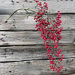 Куст ампельні ягоди калини червоної 83 см, фото 2