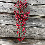 Куст ампельні ягоди калини червоної 83 см, фото 4