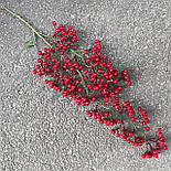 Куст ампельні ягоди калини червоної 83 см, фото 3