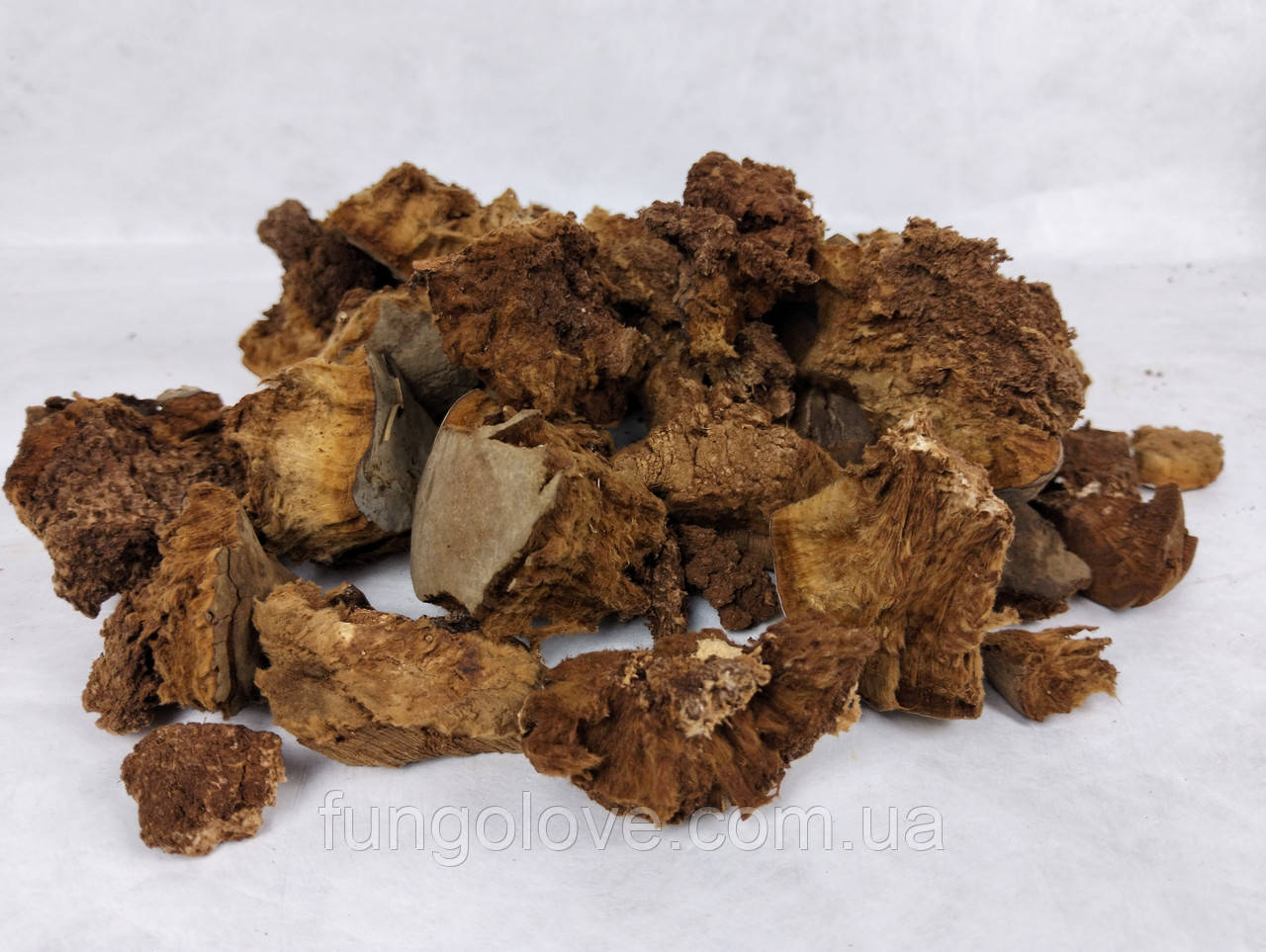 Трутовик Справжній сухий мелений (Fomes fomentarius) 100г