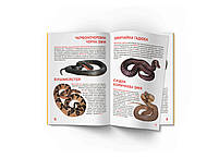 Книга Велика книжка Отруйні змії, фото 3