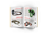 Книга Велика книжка Отруйні змії, фото 4
