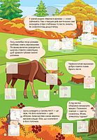 Книга з наліпками Світ навколо У лісі, фото 2