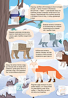 Книга з наліпками Світ навколо У лісі, фото 4