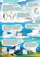 Книга з наліпками Світ навколо Дикі тварини, фото 2