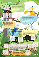 Книга з наліпками Світ навколо Дикі тварини, фото 3