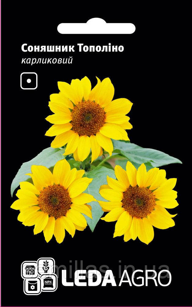Насіння соняшнику Тополіно, 0,5 гр., карликовий