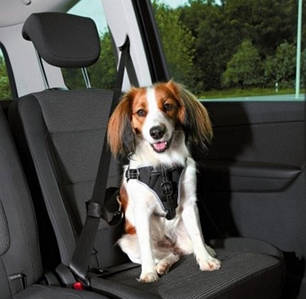 Trixie TX-12855 Dog Protect шлея транспортувальна для собак 40-55 cm/20 mm