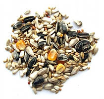 Корм для птахів