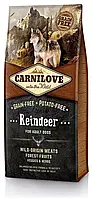 Корм для собак Carnilove Reindeer for Adult 12kg