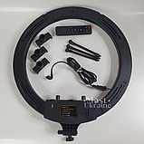 Професійна кільцева LED лампа RGB 45 см (3 кріплення, пульт) -MJ18., фото 9