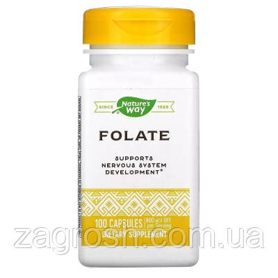 Promo Ціна! Вітамін Nature's Way Фолат, 800 мкг, Folate, 100 капсул (NWY-40451) - тільки на ZaGrosh.com.ua