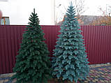 Лита ялинка Елітна 2.30 м. блакитна, фото 10