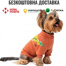 Толстовка Pet Fashion Miley для собак розмір XS2