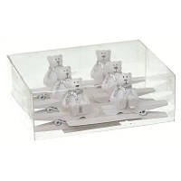 Популярний! Прикраса декоративна Jumi Прищіпки Ведмедик 6 шт (5900410681750) - Краща якість тільки на Nukleon.com.ua