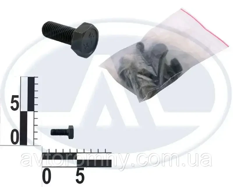 Болт М10 25 пальця кульової опори чорний 0001-0059707-30 ВАЗ 2108 2109 2110 2112 2113 2114 2115 супорт 2101-07