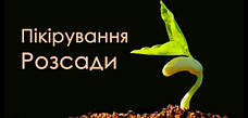 Пікірування Рослин 