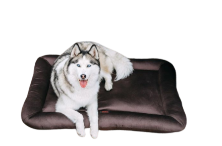 Лежак для собак і котів Happy Peppy (Хеппі Пеппі) Cloud, фото 1