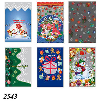 Пакет новорічний фольгований 20х30 см 100 шт.