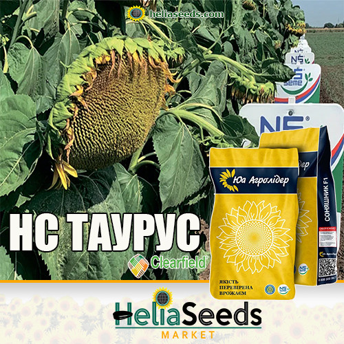 Соняшник НС ТАУРУС насіння соняшнику