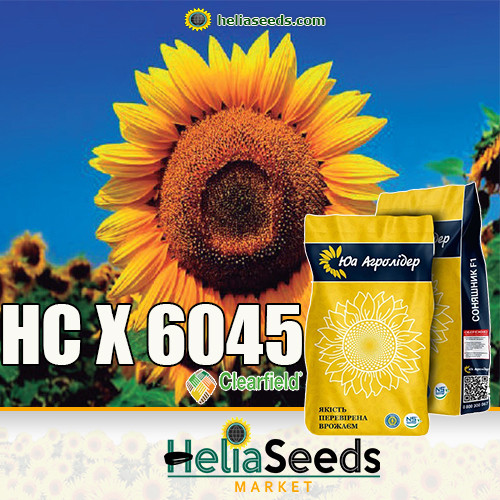 НС Х 6045