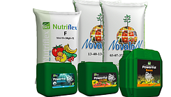 ТерраТарса