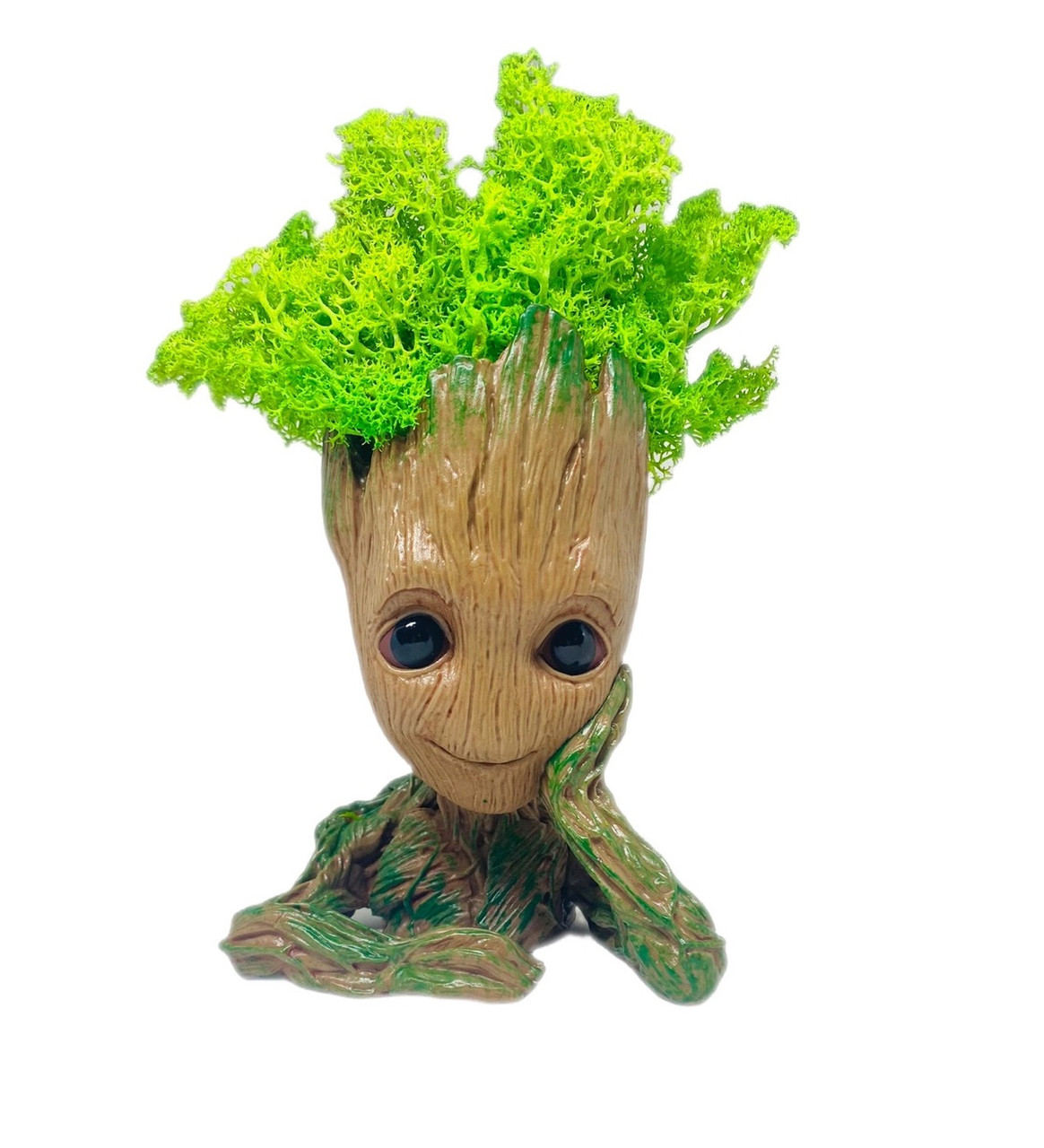 Кашпо зі стабілізованим мохом Грут G1