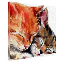 Картина на тканині, 50х50 см Муркотики