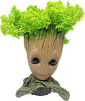 Кашпо зі стабілізованим мохом Грут G3