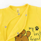 Чоловічок футер з начісом для немовлят Maltipu, фото 2