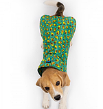 Дощовик для собак Barksi (Барксі) Textile з капюшоном Авокадо (XS), фото 2