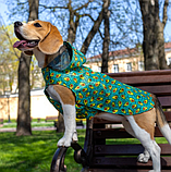 Дощовик для собак Barksi (Барксі) Textile з капюшоном Авокадо (XS), фото 3